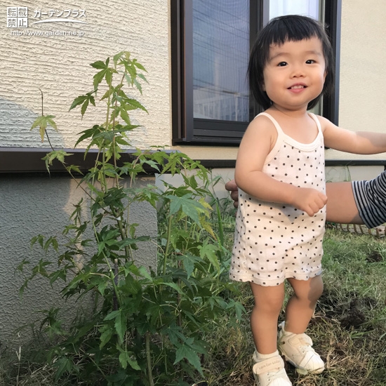 植樹したもみじと記念撮影