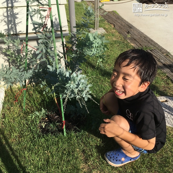 植樹したミモザと記念撮影