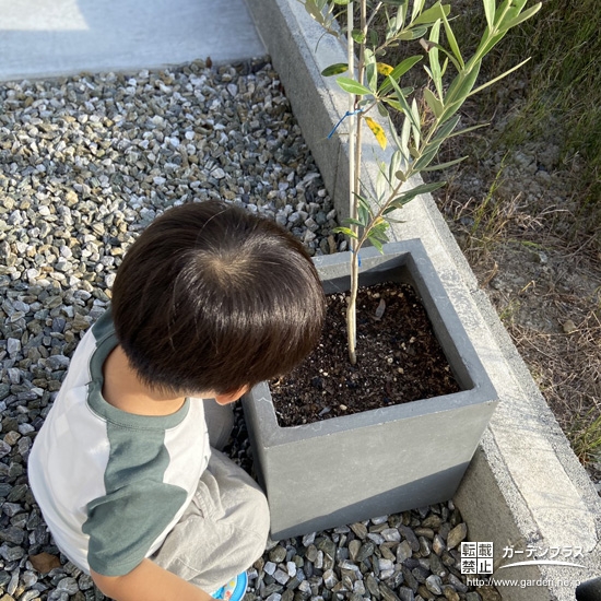 植樹したオリーブと記念撮影