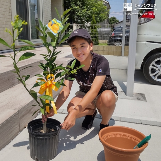 温州ミカン植樹の様子①