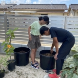 植樹の様子