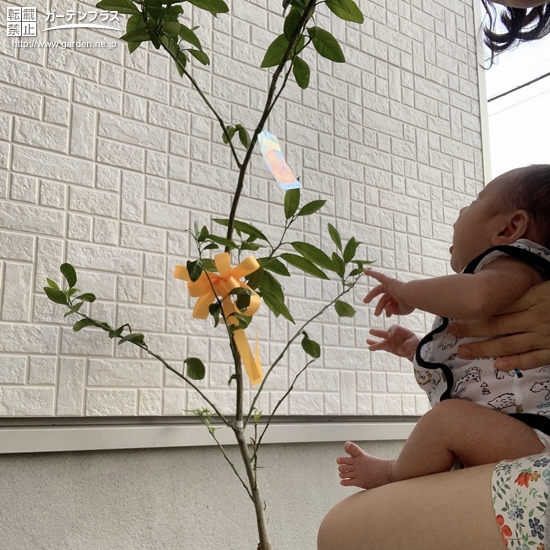 植樹後の記念写真②