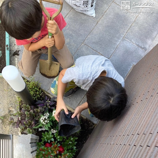 植樹の様子①