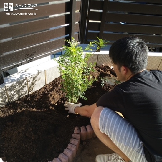 植樹の様子