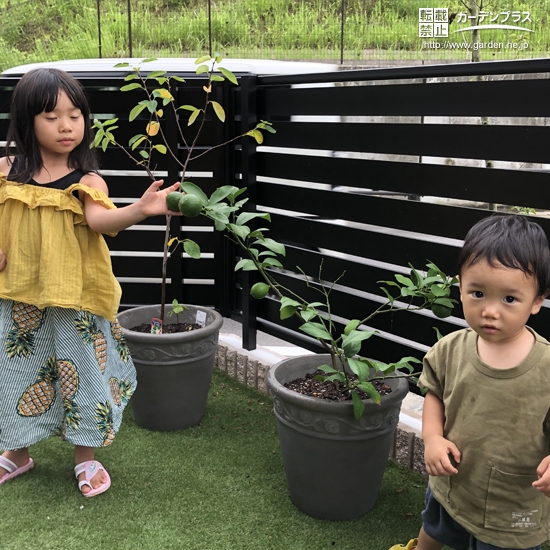 植樹後の記念写真②