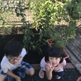 植樹後の記念写真