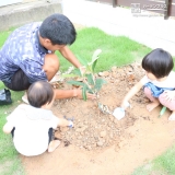 植樹の様子①