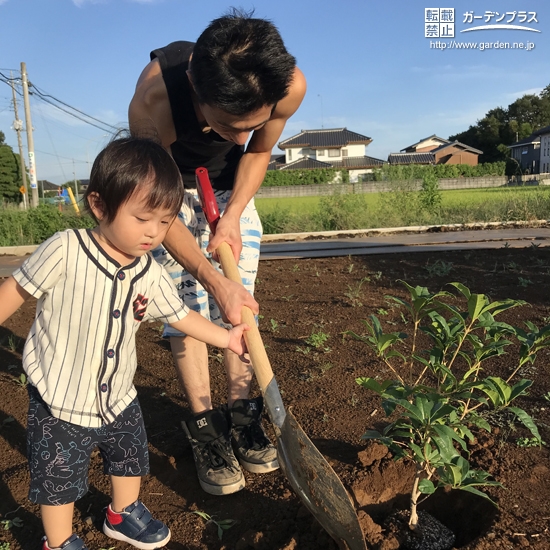 植樹の様子