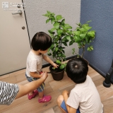 植樹の様子