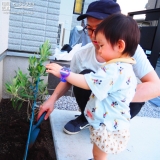 植樹の様子