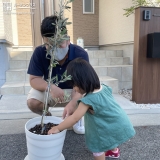 植樹の様子