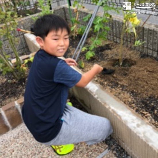 植樹の様子①