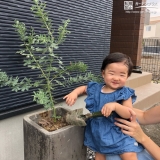 植樹の様子①