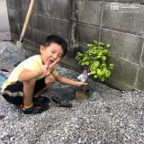 植樹の様子②