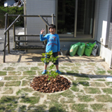 三重県伊賀市ジューンベリーと四季咲きモクセイの植樹風景