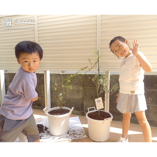 植栽後の記念樹と記念撮影