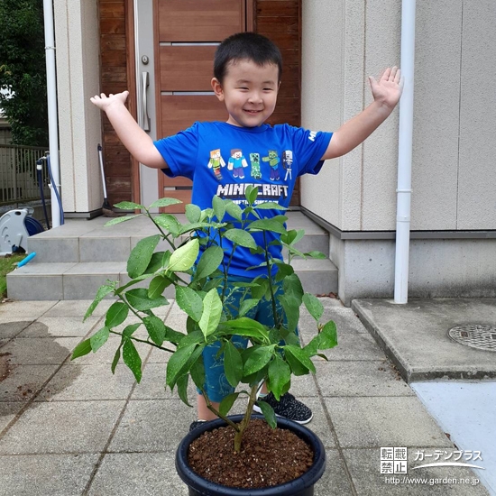 植樹したレモンと記念撮影②