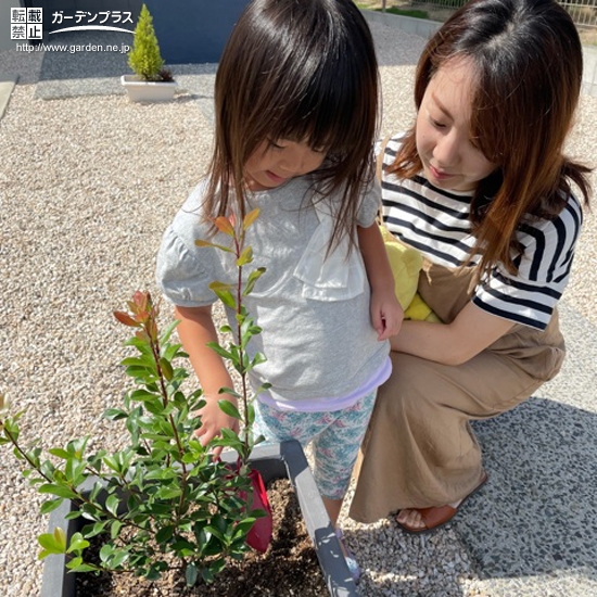 植樹の様子①