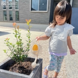 植樹の様子②