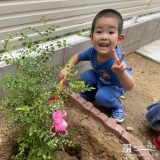 シマトネリコ植樹の様子