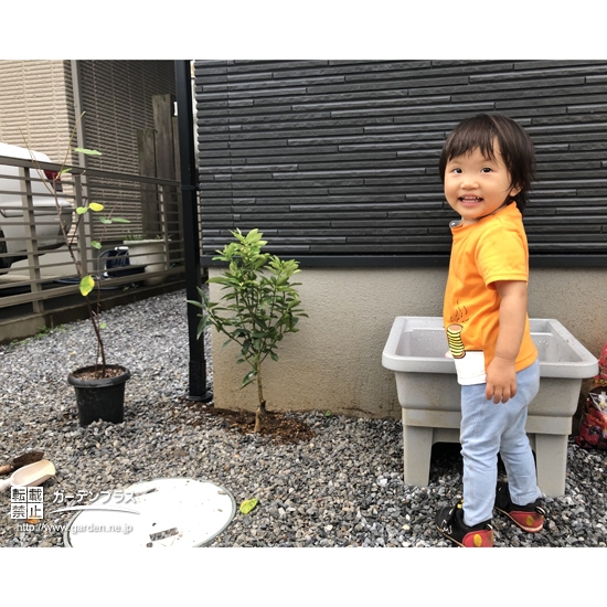 植樹したジューンベリー、キンカンと記念撮影