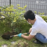 ナンテンの植樹中の様子