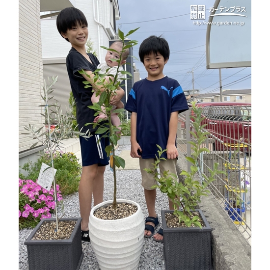 植樹後の記念撮影