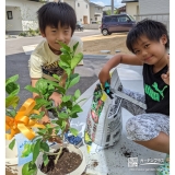 植樹中の様子