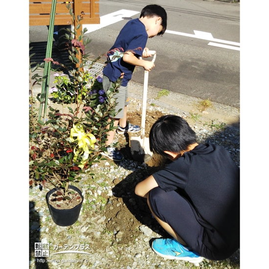 植樹中の様子①