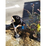 植樹中の様子②