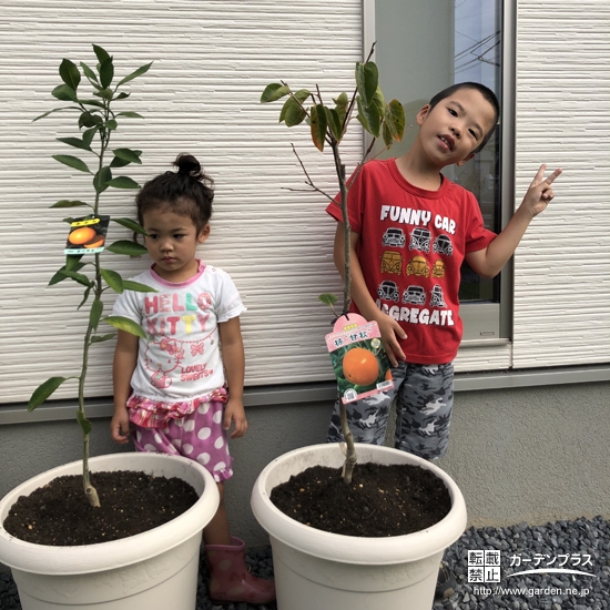 温州ミカンとカキの植樹後の記念撮影