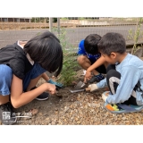 バイカウツギ植樹の様子