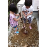 お子様による植樹の様子