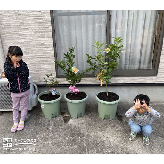 植樹したシンボルツリーと一緒に記念撮影