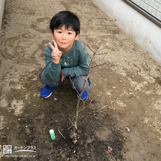 植樹したハナミズキと一緒に記念撮影