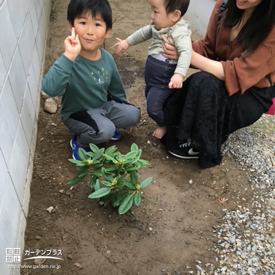 植樹した西洋シャクナゲと記念撮影