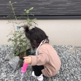 植樹後のシマトネリコと記念撮影②