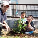 茨城県常陸大宮市ジューンベリーとオリーブの植樹風景