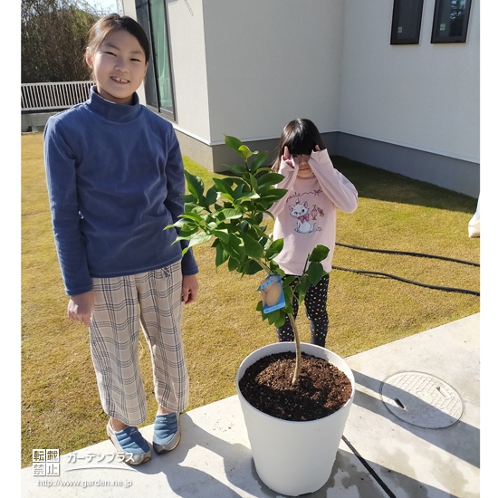 植樹後のレモンと記念撮影