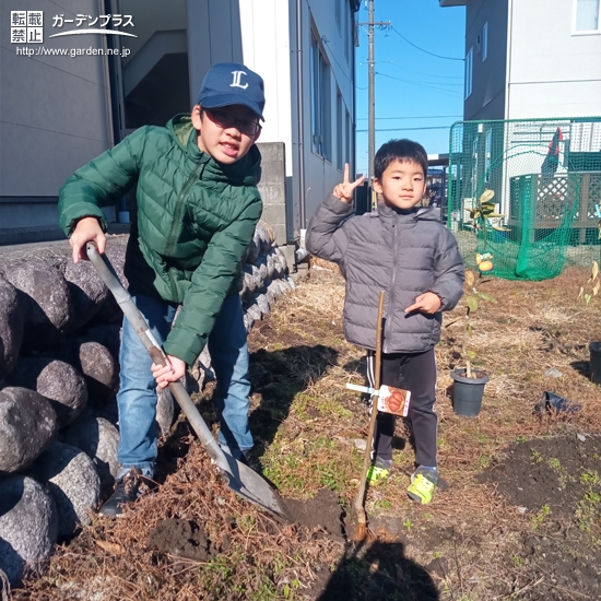 シンボルツリー植樹の様子