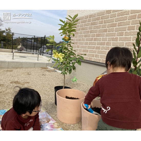 シンボルツリー植樹の様子