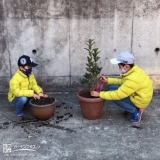 シンボルツリー植樹の様子