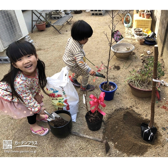 シンボルツリー植樹の様子