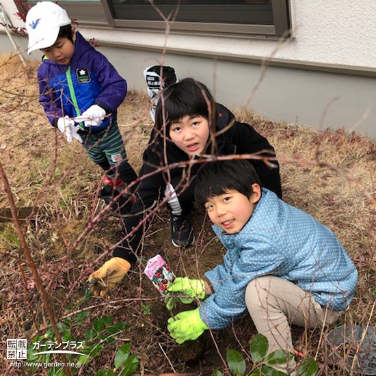 植樹中にご兄弟で記念撮影①