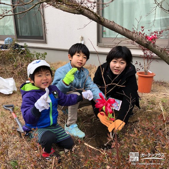 植樹中にご兄弟で記念撮影②