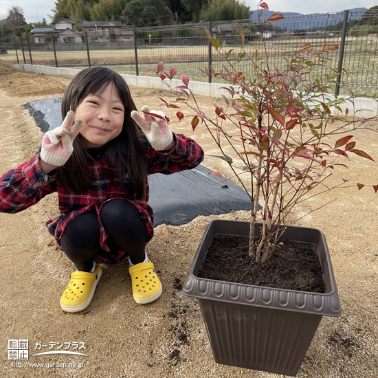 植樹後のナンテンと記念撮影