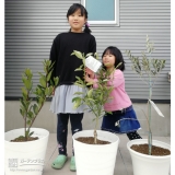 植樹後の記念樹と記念撮影