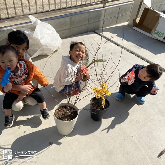 植樹後の記念樹と記念撮影