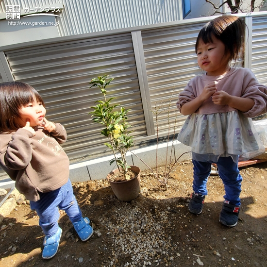 植樹後のキンモクセイ、ユキヤナギと記念撮影②