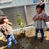 植樹後のキンモクセイ、ユキヤナギと記念撮影②